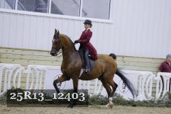 25R13_12403 proof