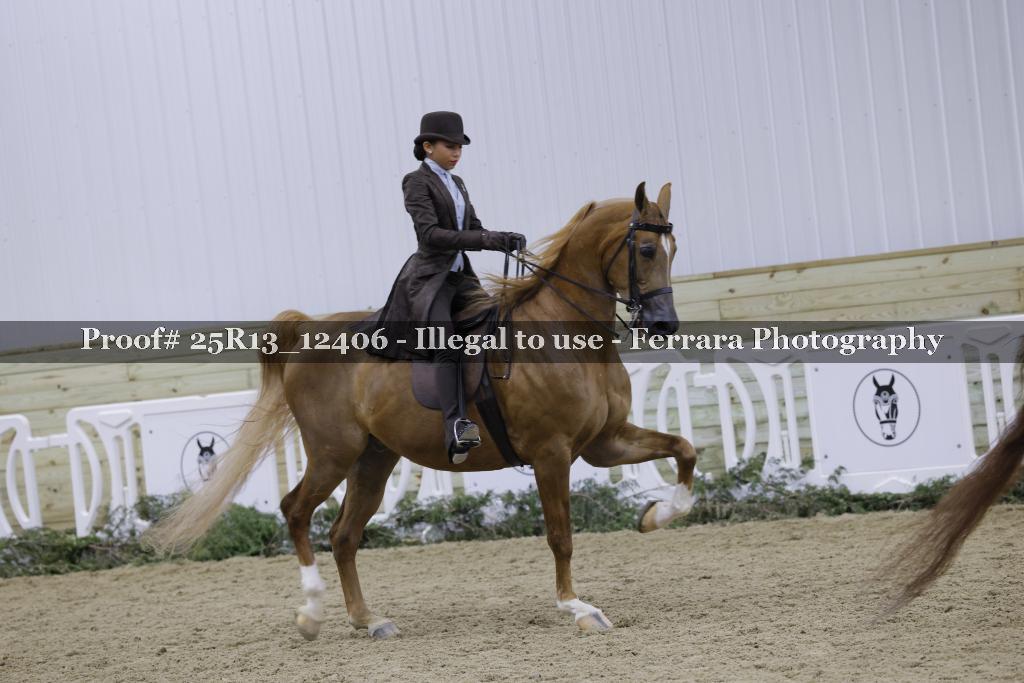 Proof 25R13_12406