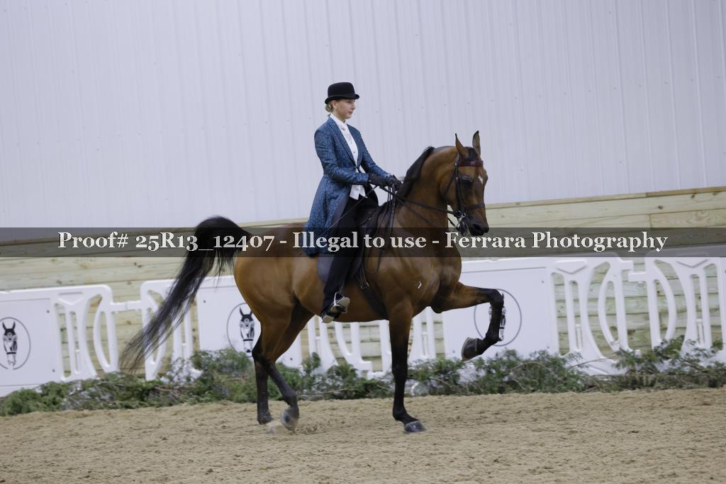 Proof 25R13_12407