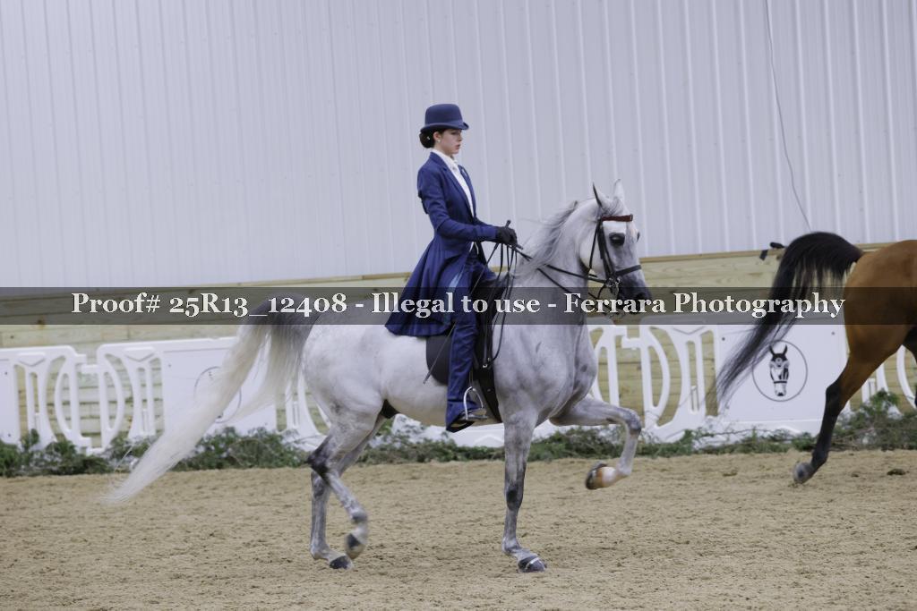 Proof 25R13_12408