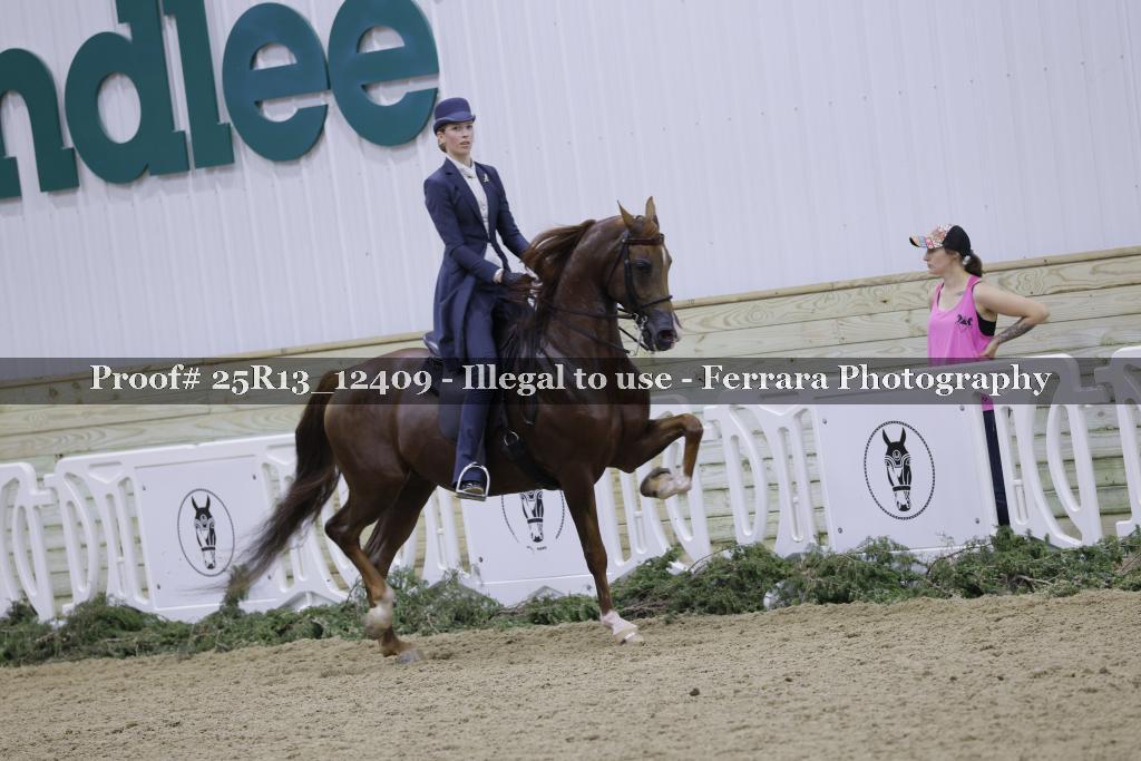 Proof 25R13_12409