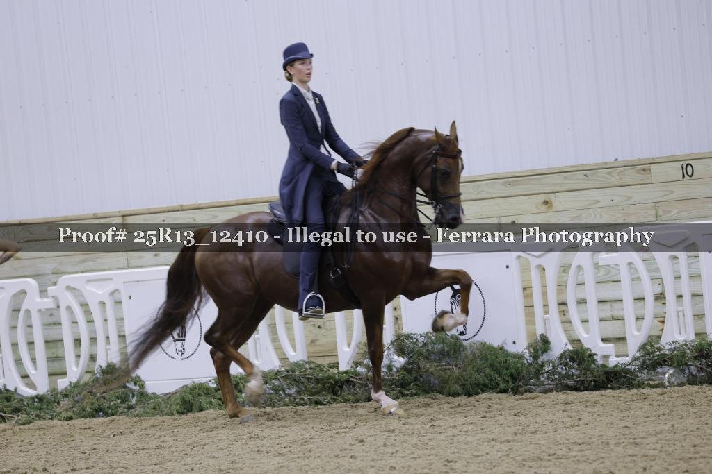 Proof 25R13_12410