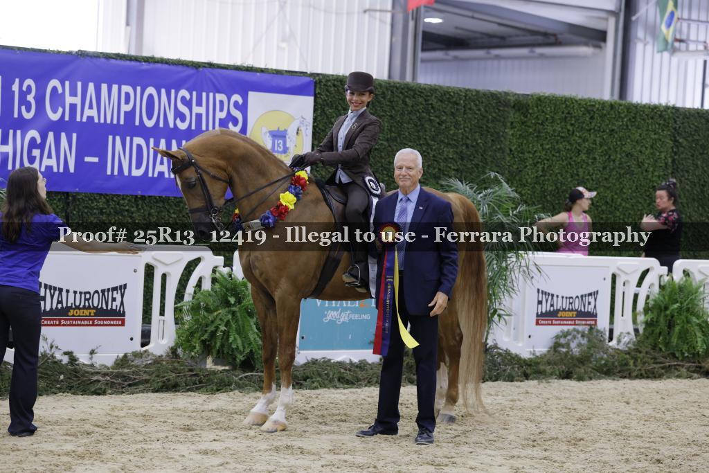 Proof 25R13_12419