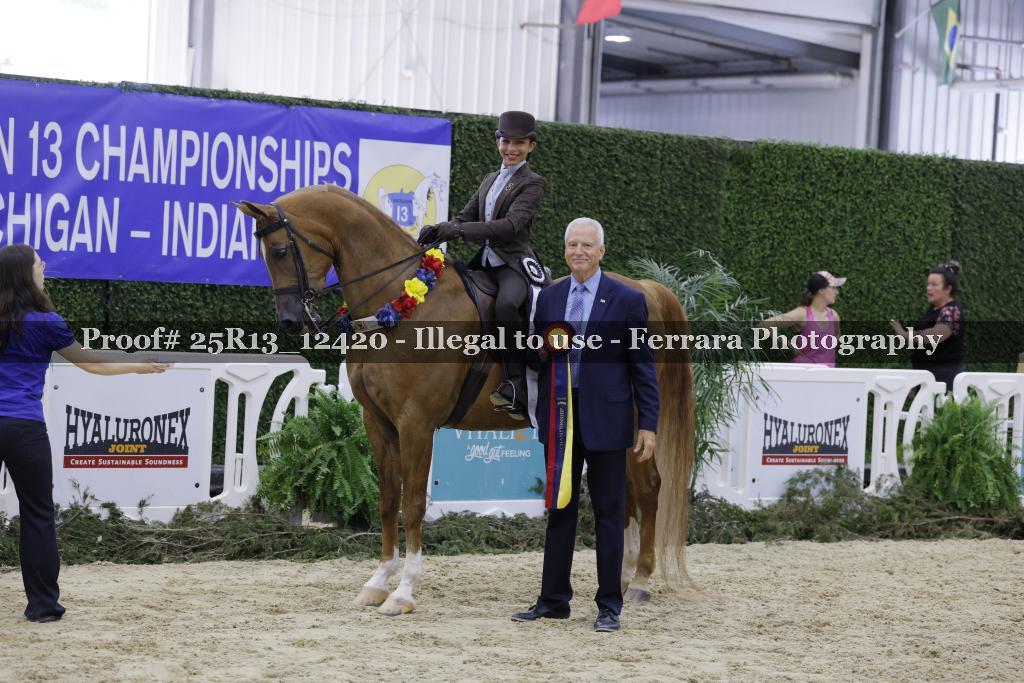 Proof 25R13_12420