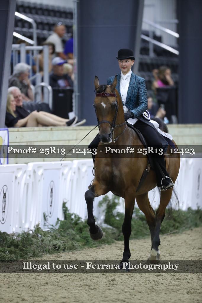 Proof 25R13_12423