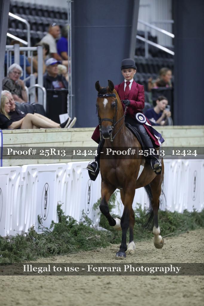 Proof 25R13_12424