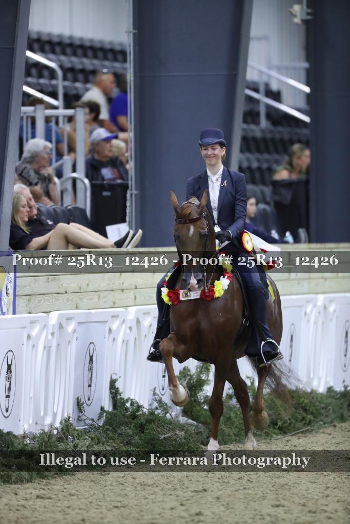 Proof 25R13_12426