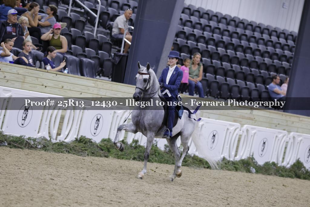 Proof 25R13_12430