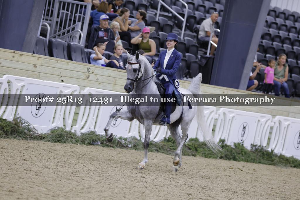 Proof 25R13_12431