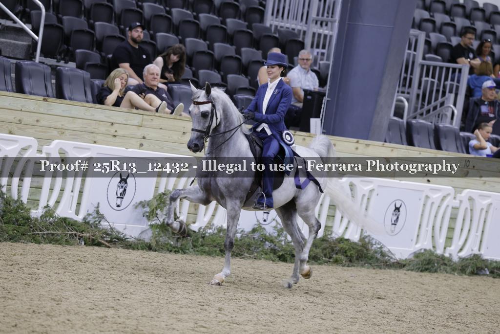 Proof 25R13_12432