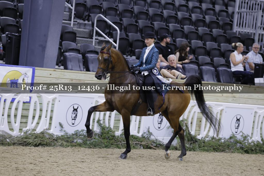 Proof 25R13_12436
