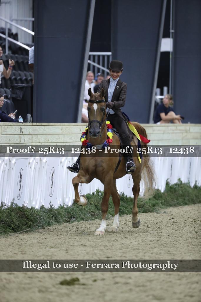 Proof 25R13_12438