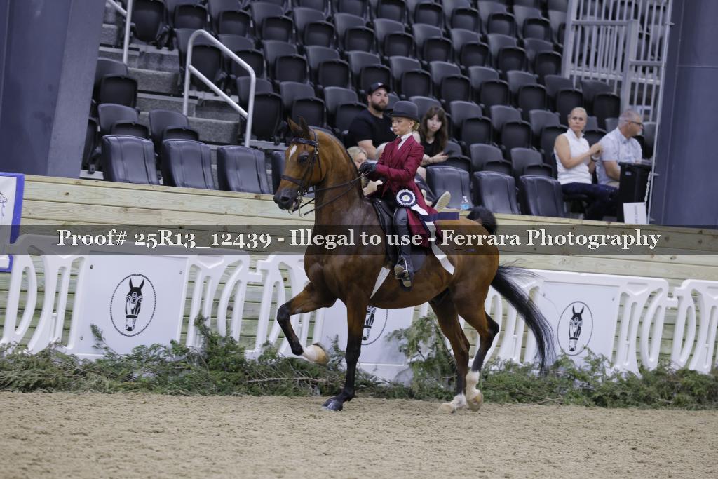 Proof 25R13_12439