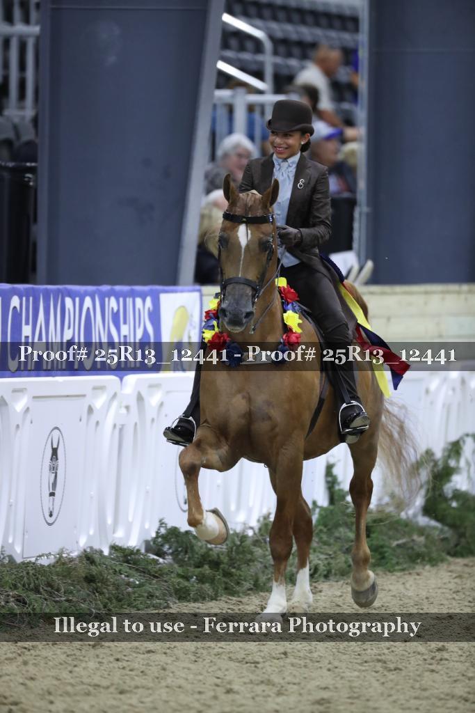 Proof 25R13_12441