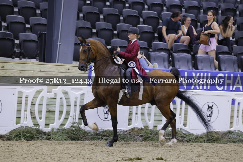 Proof 25R13_12443