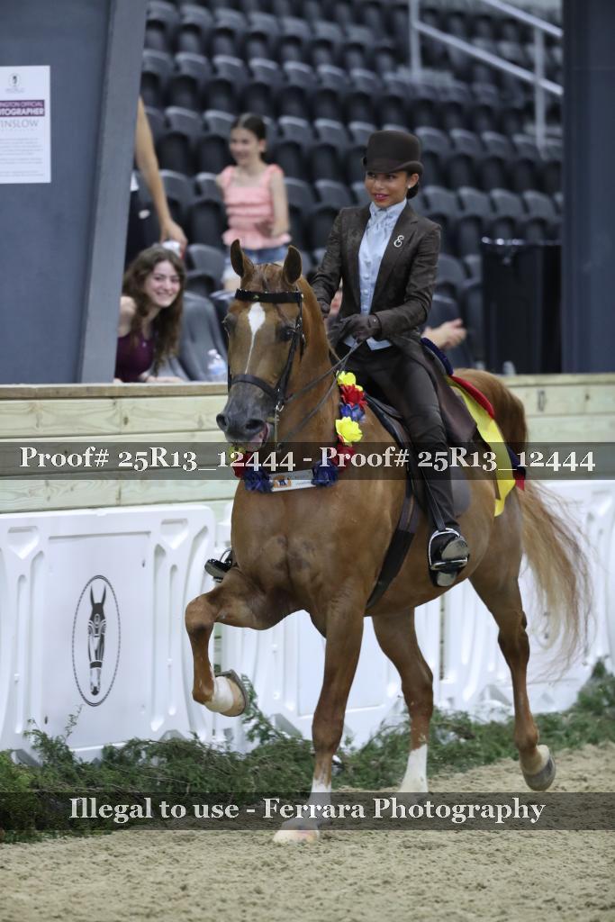 Proof 25R13_12444