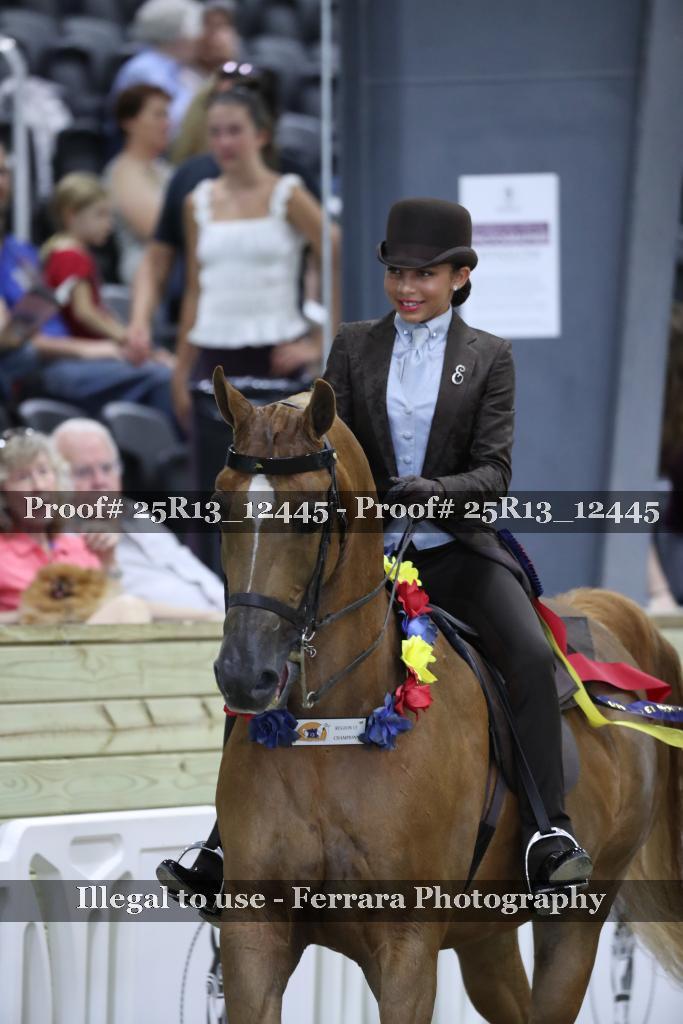 Proof 25R13_12445