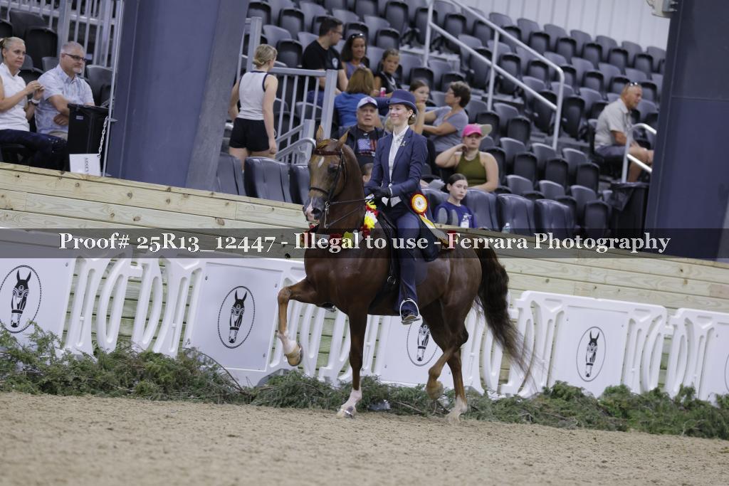 Proof 25R13_12447