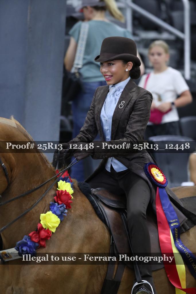 Proof 25R13_12448