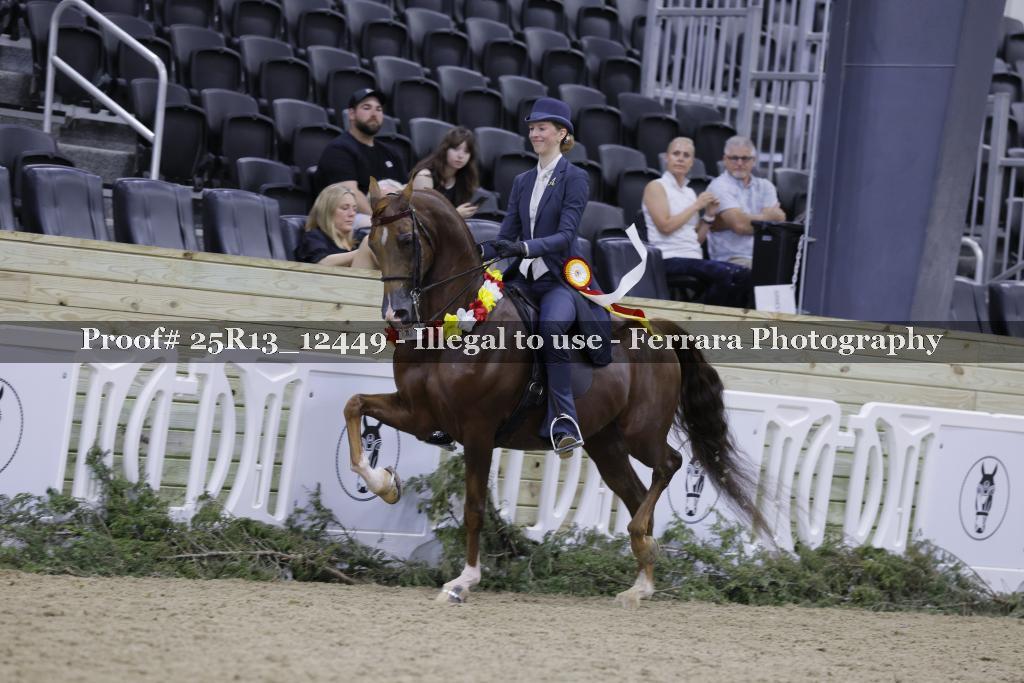 Proof 25R13_12449