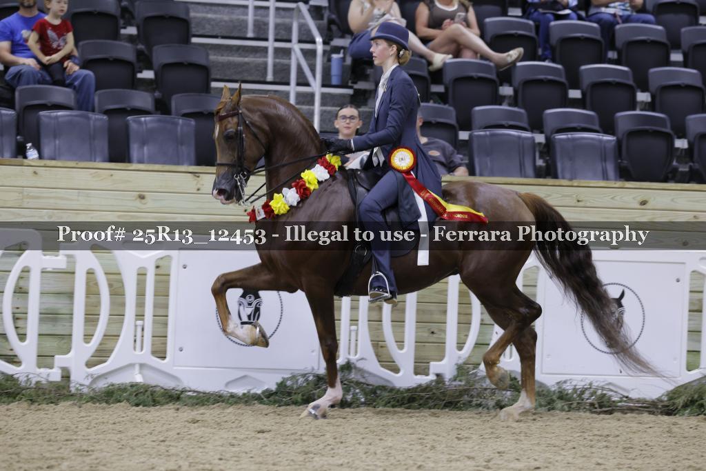 Proof 25R13_12453