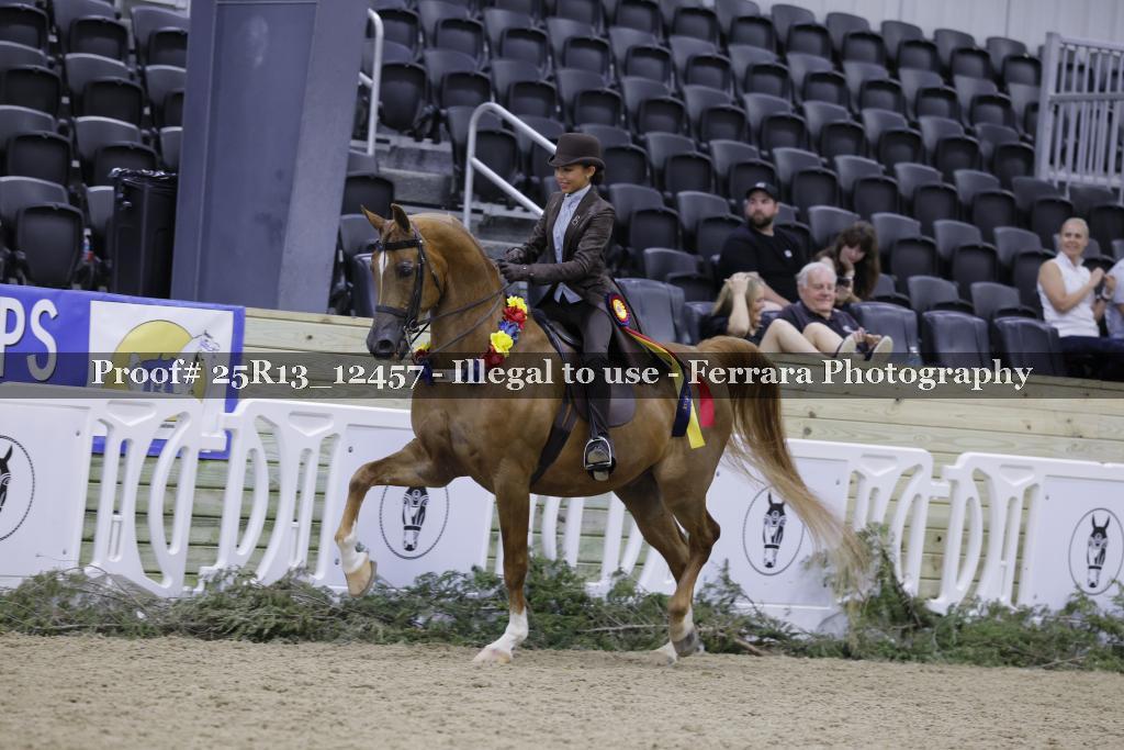 Proof 25R13_12457