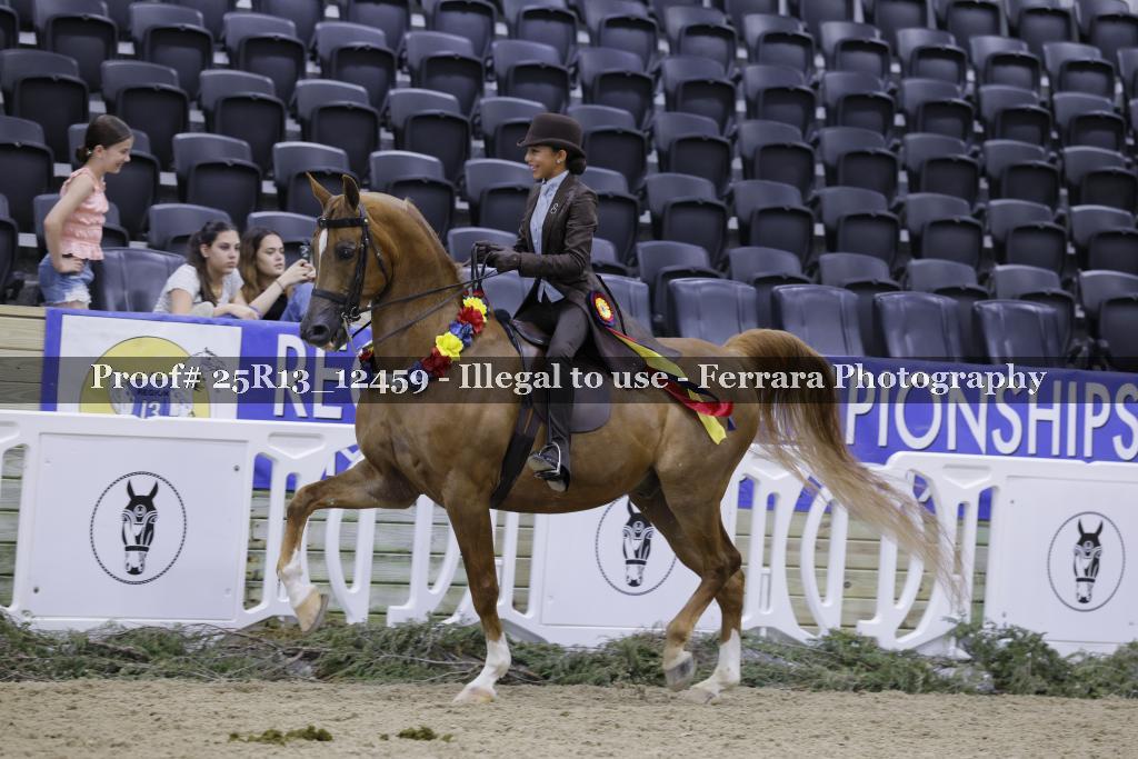 Proof 25R13_12459