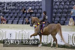 25R13_12462 proof