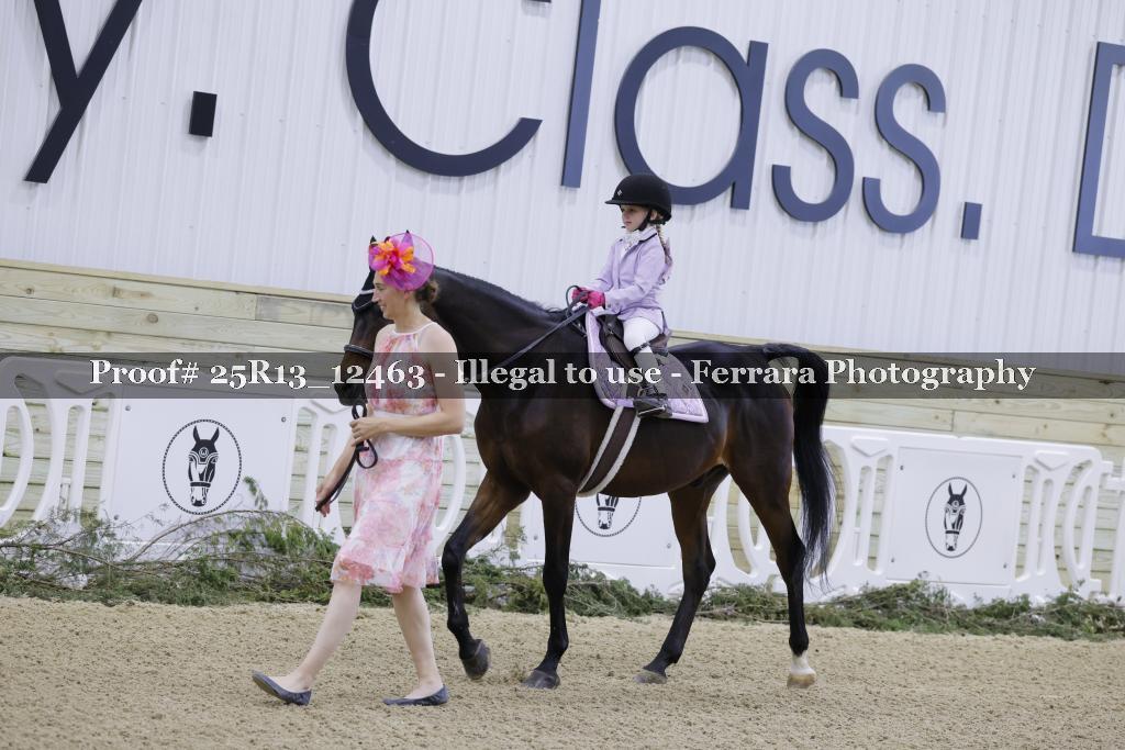 Proof 25R13_12463