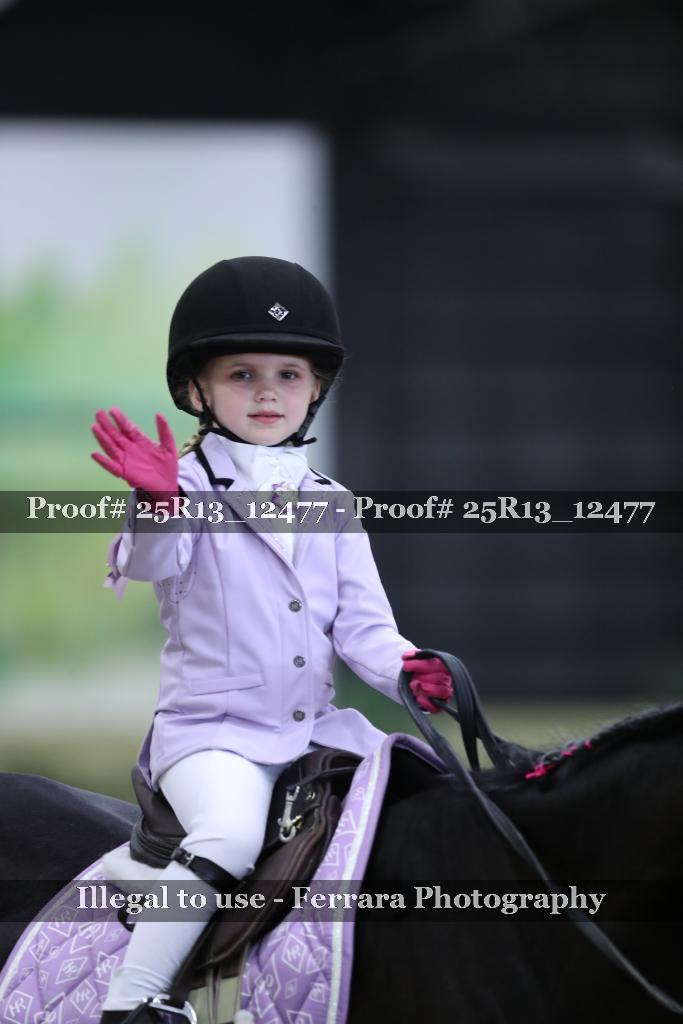 Proof 25R13_12477