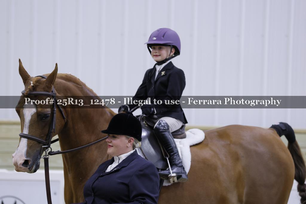 Proof 25R13_12478