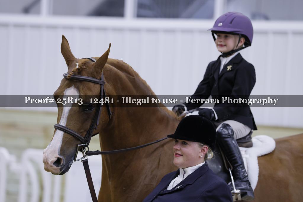 Proof 25R13_12481