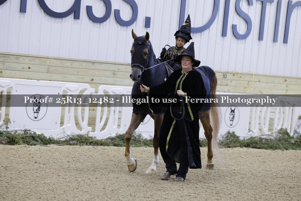 Proof 25R13_12482