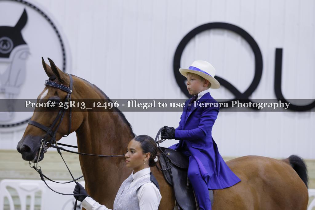 Proof 25R13_12496