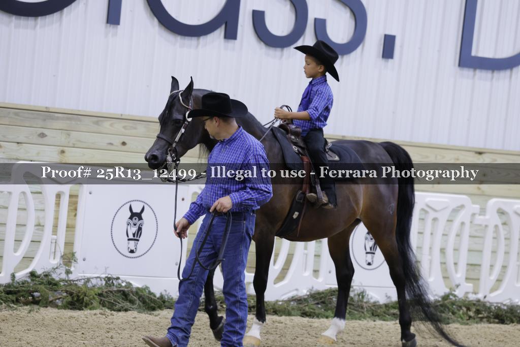 Proof 25R13_12499