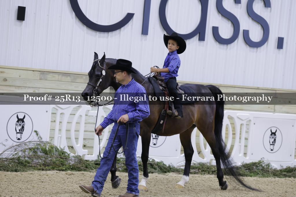 Proof 25R13_12500