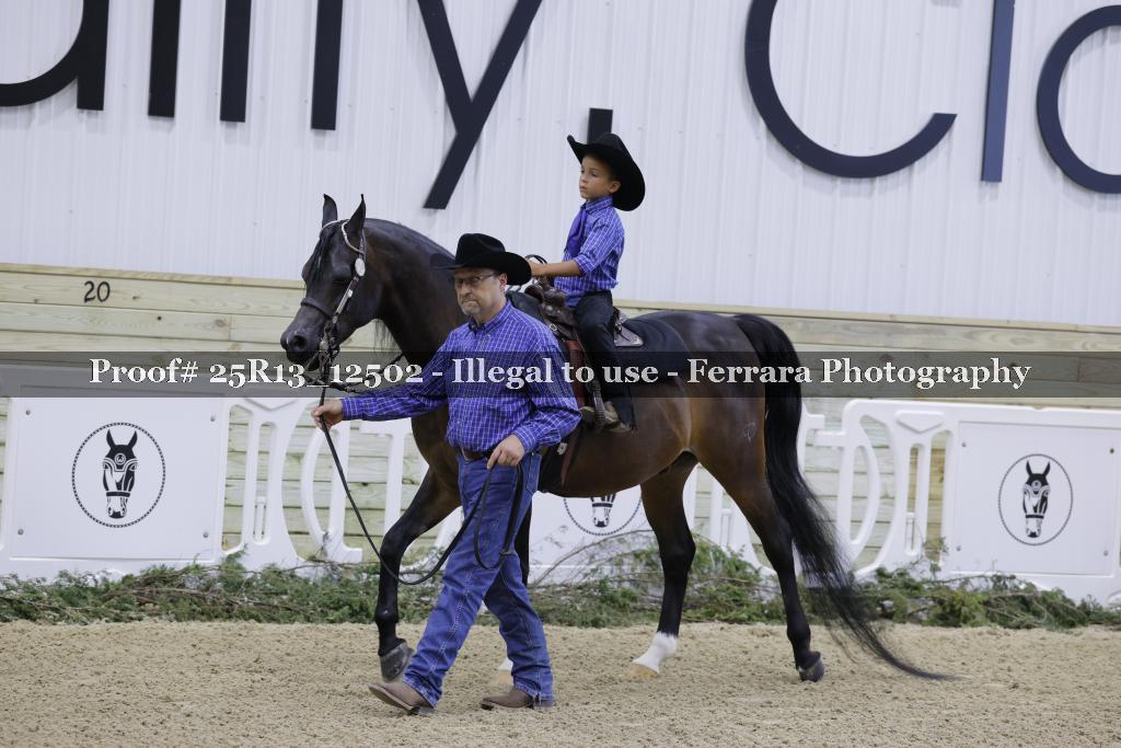 Proof 25R13_12502