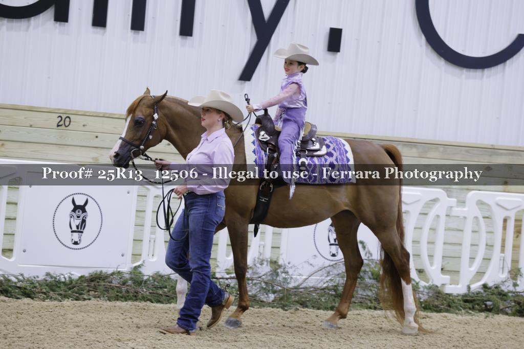 Proof 25R13_12506