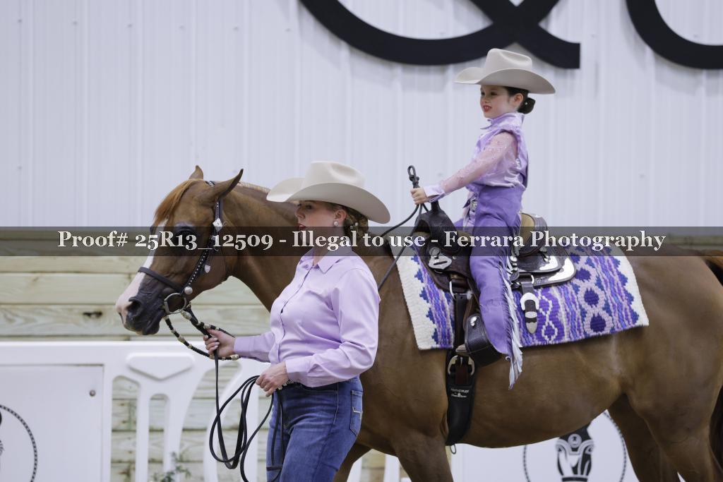 Proof 25R13_12509