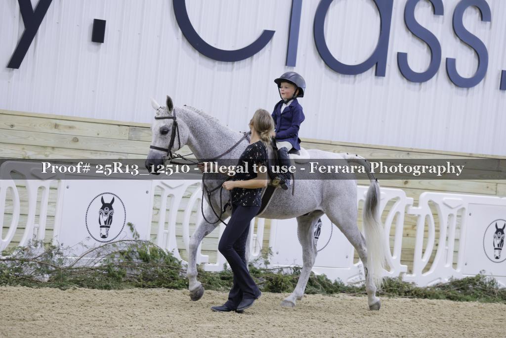 Proof 25R13_12510