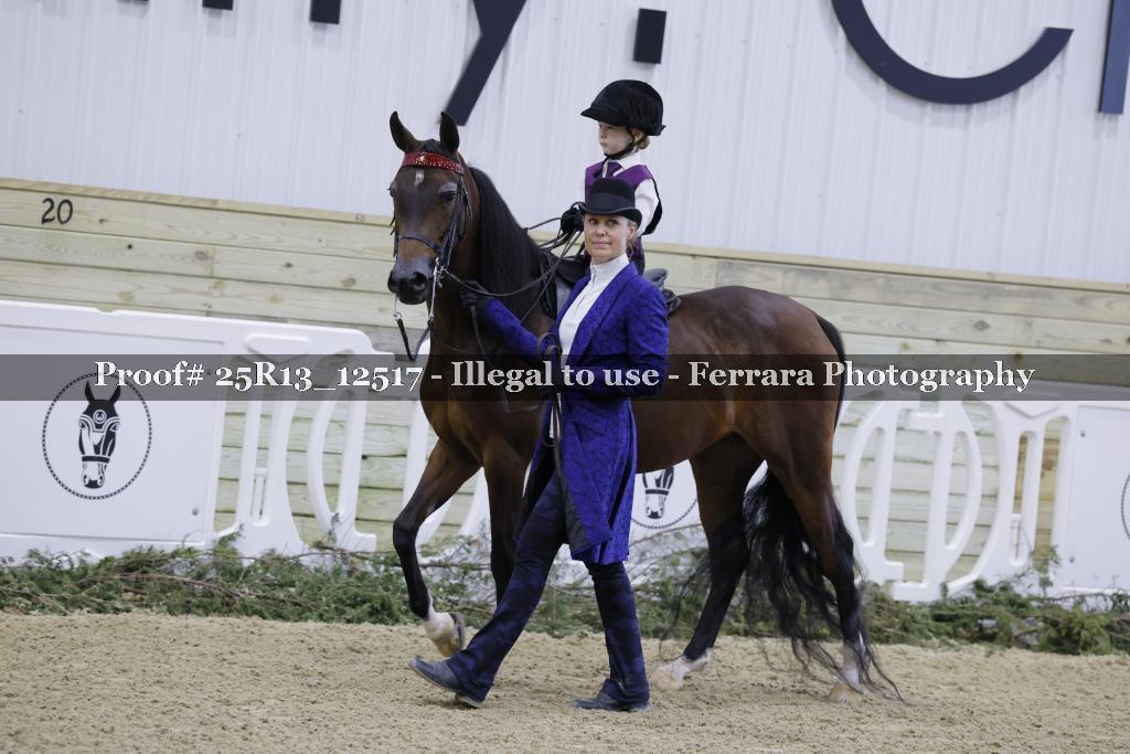 Proof 25R13_12517