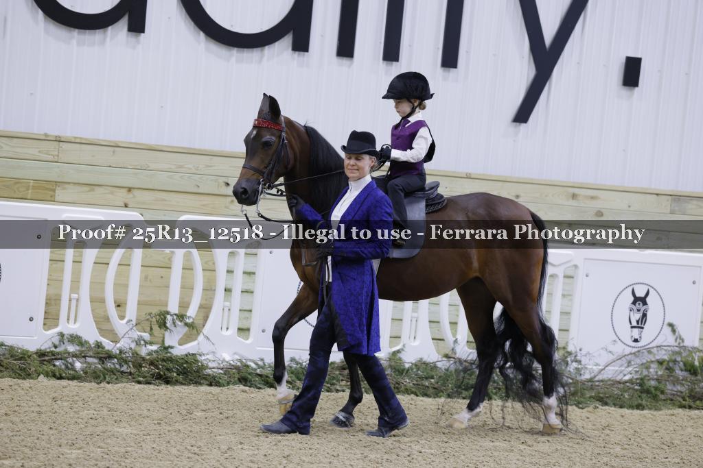 Proof 25R13_12518