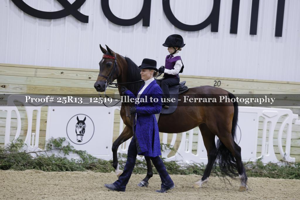 Proof 25R13_12519
