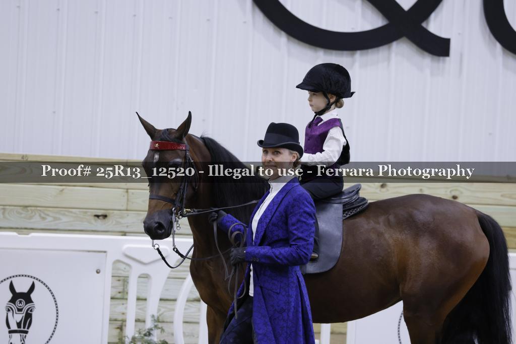 Proof 25R13_12520