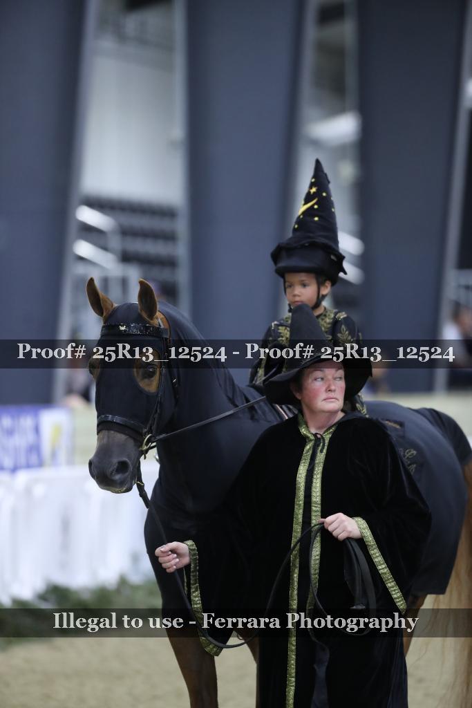Proof 25R13_12524