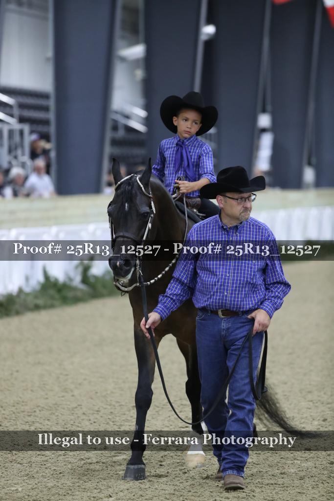 Proof 25R13_12527