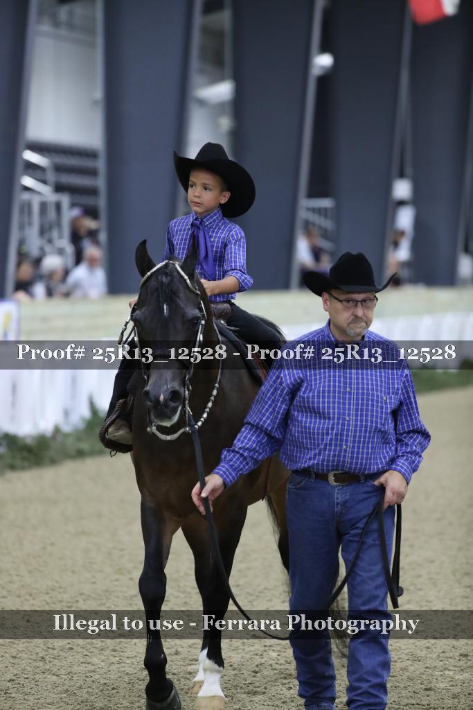 Proof 25R13_12528