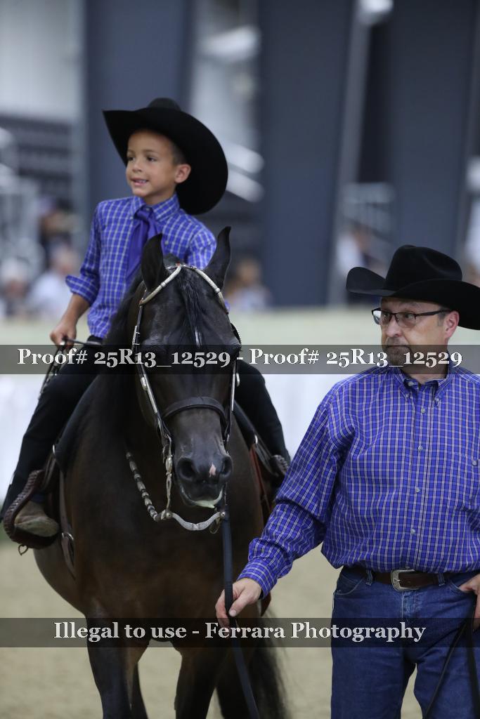 Proof 25R13_12529