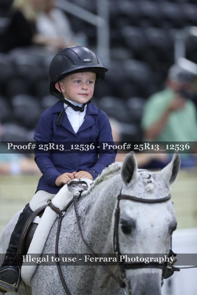 Proof 25R13_12536