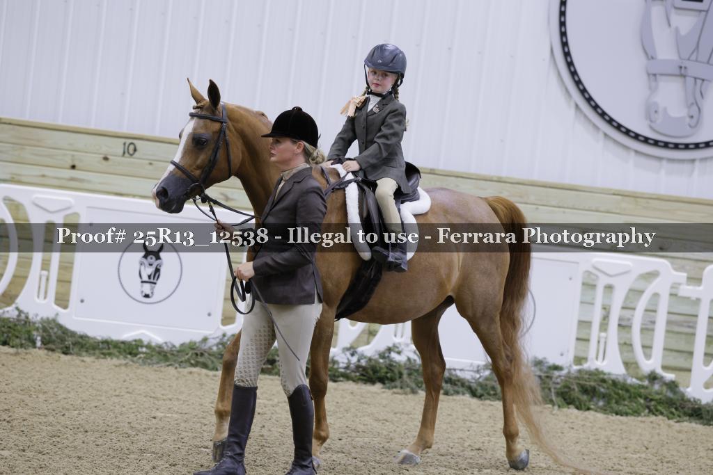 Proof 25R13_12538
